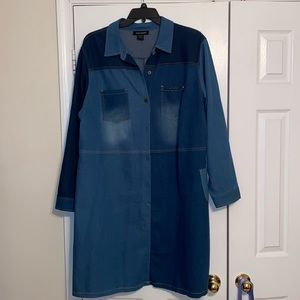 Women’s Denim Dress